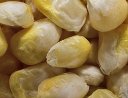 Сублимированная кукуруза
